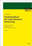 Volke H Peemöller, Volker H. Peemöller - Praxishandbuch der Unternehmensbewertung