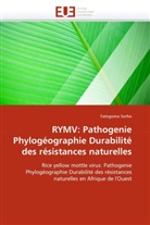 Fatogoma Sorho, Sorho-F - Rymv: pathogenie phylogeographie