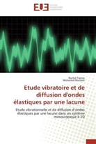 Mohamed Bouateli, Collectif, RACHI TIGRINE, Rachid Tigrine - Etude vibratoire et de diffusion