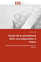 Karine Serhal, Serhal-K - Etude de la plombemie dans une