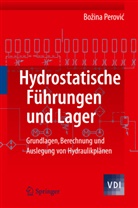 Bozina Perovic - Hydrostatische Führungen und Lager