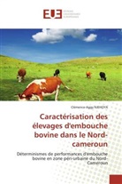 Clémence-Aggy NJEHOYA, Njehoya-C - Caracterisation des elevages d