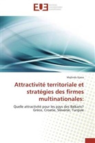 Majlinda Gjana, Gjana-M - Attractivite territoriale et