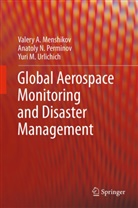 Valery Menshikov, Valery A Menshikov, Valery A. Menshikov, Anatoly Perminov, Anatoly N Perminov, Anatoly N. Perminov... - Global Aerospace Monitoring and Disaster Management
