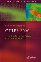 Bern Hoefflinger, Bernd Hoefflinger, Bernd Höfflinger - Chips 2020