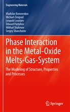 Vladisla Boronenkov, Vladislav Boronenkov, Leontiev, Leopold Leontiev, Edward Pastukhov, Mikhail Shalimov... - Phase Interaction in the Metal - Oxides Melts-Gas-System