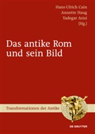 Yadegar Asisi, Hans-Ulrich Cain, Annett Haug, Annette Haug - Das antike Rom und sein Bild