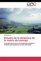 Alí Santacruz - Estudio de la dinámica de la matriz del paisaje