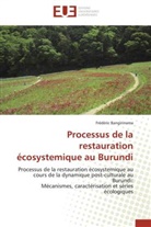 Frédéric Bangirinama, Bangirinama-F - Processus de la restauration