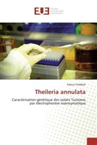 Saloua Chabbah, Chabbah-S - Theileria annulata