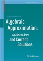 Jorge Bustamante - Algebraic Approximation: A Guide to Past and Current Solutions