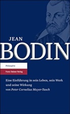 Peter C. Mayer-Tasch, Peter Cornelius Mayer-Tasch - Jean Bodin