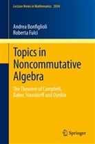 Andre Bonfiglioli, Andrea Bonfiglioli, Roberta Fulci - Topics in Noncommutative Algebra