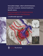 Brück, Hartmut Brückmann, Alexande Muacevic, Alexander Muacevic, Rober Schmid-Elsaesser, Robert Schmid-Elsaesser... - Neurosurgery of Arteriovenous Malformations and Fistulas