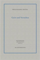 Wolfgang Detel - Geist und Verstehen