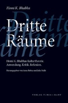 Anna Babka, Julia Malle - Dritte Räume. Homi K. Bhabhas Kulturtheorie