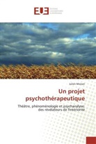 Julien Moizan, Moizan-J - Un projet psychotherapeutique