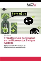 Edith Ducrós - Transferencia de Oxígeno en un Biorreactor Tanque Agitado