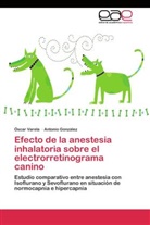 Antonio González, Ósca Varela, Óscar Varela - Efecto de la anestesia inhalatoria sobre el electrorretinograma canino