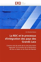 Eric Ntumba Bukasa, Ntumba Bukasa-E - La rdc et le processus d