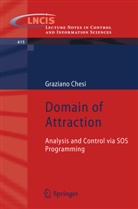 Graziano Chesi - Domain of Attraction