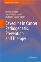 Jean Francois Jasmin, Jean-Françoi Jasmin, Jean-Francois Jasmin, Jean-François Jasmin, Michael P. Lisanti, Isabelle Mercier... - Caveolins in Cancer Pathogenesis, Prevention and Therapy