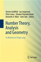 Dorian Goldfeld, Peter Jones, Peter Jones et al, Ja Jorgenson, Jay Jorgenson, Dinakar Ramakrishnan... - Number Theory, Analysis and Geometry