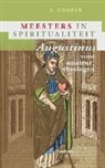 S. Cooper, Stephen Cooper - Augustinus voor amateurtheologen