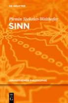 Stekeler-Weithofer, Pirmin Stekeler-Weithofer, Birnbache, Birnbacher, Stekeler-Weithofe, Stekeler-Weithofer... - Sinn