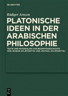 Rüdiger Arnzen - Platonische Ideen in der arabischen Philosophie