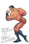 Grant Morrison - Flex Mentallo
