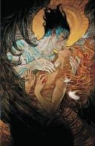 Bill Willingham, Bill Kwitney Willingham - Flight of Angels