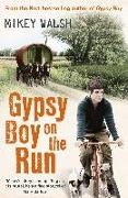 Mikey Walsh - Gypsy Boy on the Run