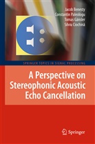 Jaco Benesty, Jacob Benesty, Silviu Ciochin¿, Silviu Ciochina, Silviu Ciochină, Toma Gänsler... - A Perspective on Stereophonic Acoustic Echo Cancellation