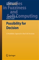 Christe Carlsson, Christer Carlsson, Robert Fuller - Possibility for Decision