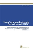 Maike Schwidder - Shiga Toxin-produzierende Escherichia coli (STEC)