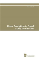 Marius Schaefer - Shear Evolution in Small Scale Avalanches