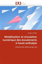 Ghislain Tchuen, Tchuen-G - Modelisation et simulation