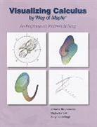 Nadia Benakli, Satyanand Singh, Arnavaz Taraporevala, Arnavaz/ Benakli Taraporevala - Visualizing Calculus by Way of Maple
