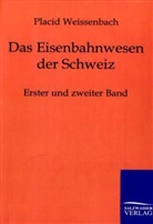 Placid Weissenbach - Das Eisenbahnwesen der Schweiz