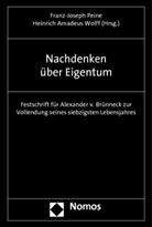 Amadeus Wolff, Franz-Joseph Peine, Heinrich A. Wolff, Heinrich Amadeus Wolff - Nachdenken über Eigentum