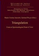 Maria C. Amoretti, Maria Cristina Amoretti, Gerhard Preyer - Triangulation