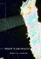 James Ed Elkins, James Elkins, Maja Naef, Naef Maja - What Is an Image