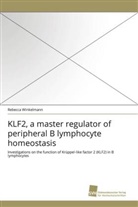 Rebecca Winkelmann - KLF2, a master regulator of peripheral B lymphocyte homeostasis