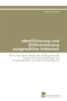 Stefanie Ohlemeyer - Identifizierung und Differenzierung ausgewählter Iridoviren