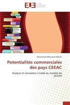 Mouhamed Mbouandi Njikam, Njikam-M - Potentialites commerciales des
