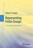 Ambar N Sengupta, Ambar N. Sengupta - Representing Finite Groups
