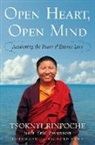 Richard Gere, Tsoknyi Rinpoche, Tsoknyi Swanson Rinpoche III, Eric Swanson, Tsoknyi, Tsoknyi Rinpoche... - Open Heart, Open Mind