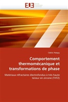 Cédric Patapy, Patapy-C - Comportement thermomecanique et