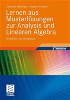 Christoph Ableitinger, Angela Herrmann - Lernen aus Musterlösungen zur Analysis und Linearen Algebra